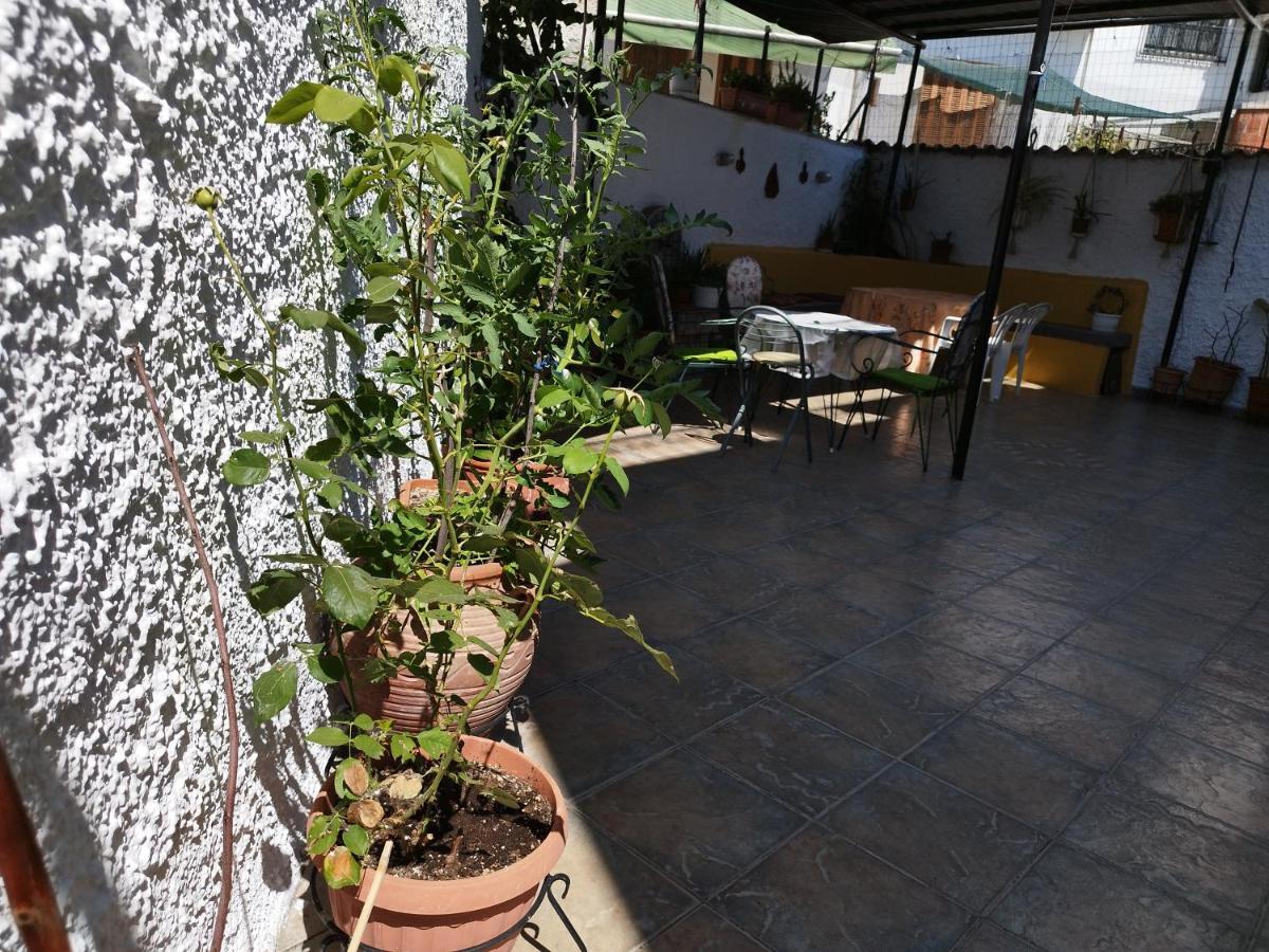 Voulas Guest House 沃洛斯 外观 照片